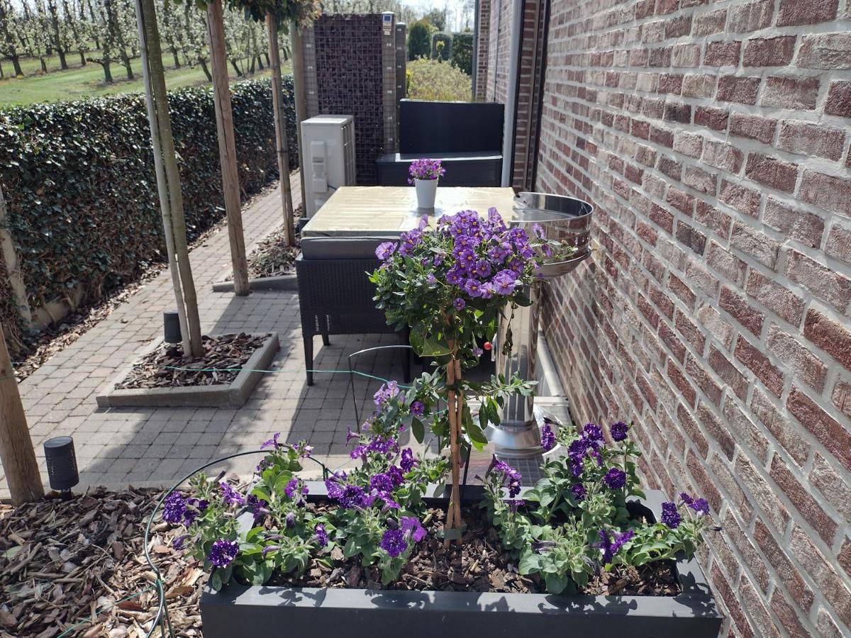 Hasbania Vakantiewoning Gingelom Eksteriør bilde